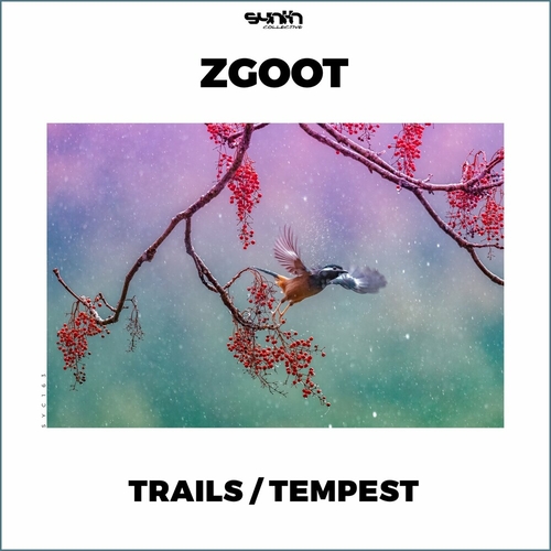 ZGOOT - Trails _ Tempest [SYC163]